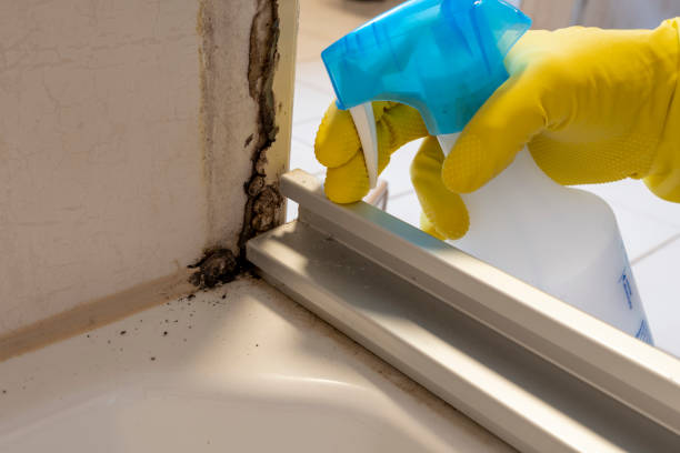 Best Emergency Mold Removal  in Grandview, WA