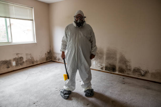 Best Local Mold Removal Service  in Grandview, WA