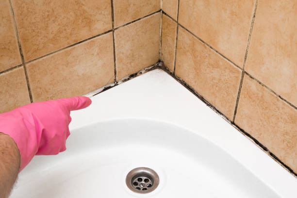 Best Affordable Mold Removal  in Grandview, WA